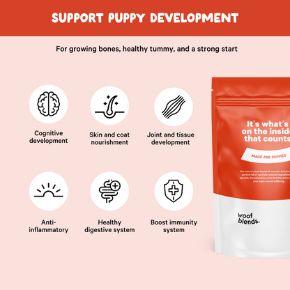 Puppy Wellness
